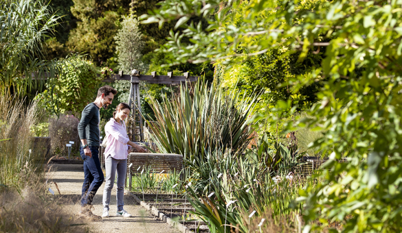 ©Karl Bruninx Wandelaars in de Kruidtuin