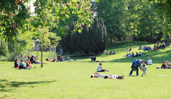 Stadspark of Sint-Donatuspark