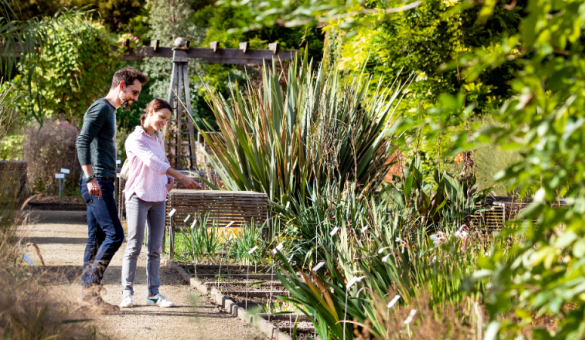 ©Karl Bruninx Wandelaars in de Kruidtuin