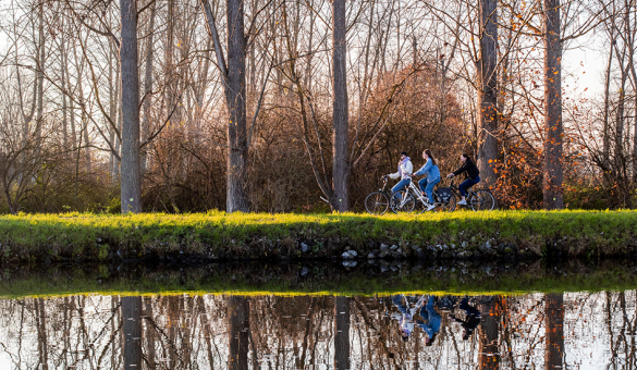 Fietsen langs de Vaart