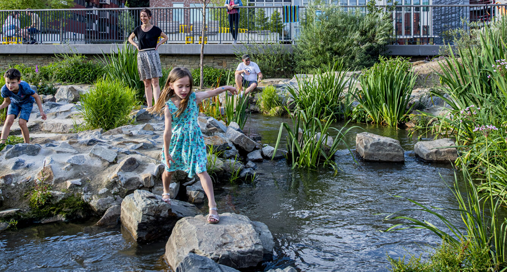 Waterpret in het Sluispark Waterpret in het Sluispark