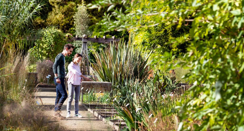 ©Karl Bruninx Wandelaars in de Kruidtuin