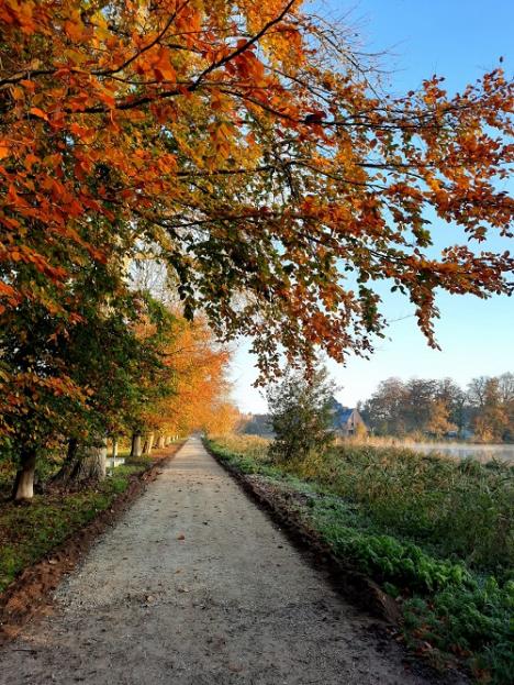 © Gerty Schols Het pad langs de vijvers.