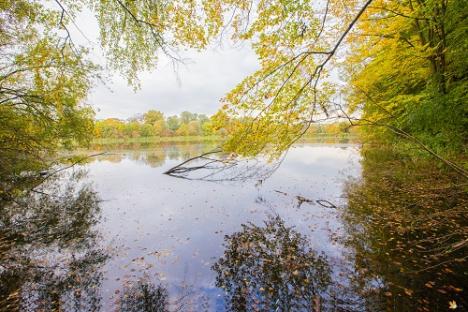© Sajin Sanjeev Herfstfoto