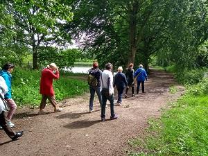© Buurtsport Enkele wandelaars op het wandelpad langs de vijvers.