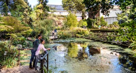 ©Karl Bruninx Bezoek aan de Kruidtuin