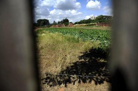 © Marco Mertens De moestuin van Abdij van Park.