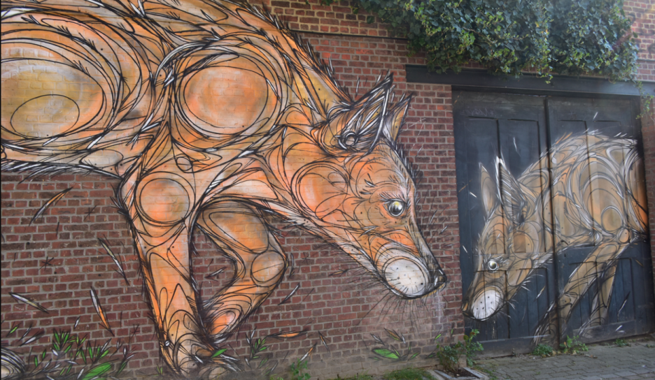 A Tale of Two Foxes • Dzia