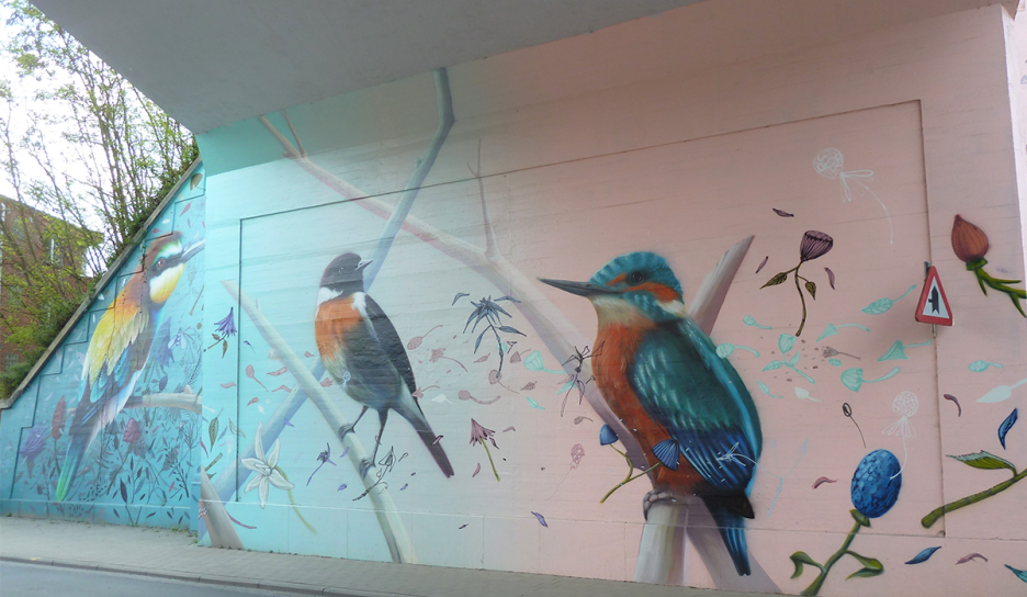 Birds • Super-A & Collin van der Sluijs